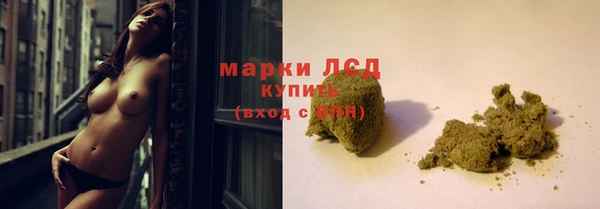 a pvp Новодвинск