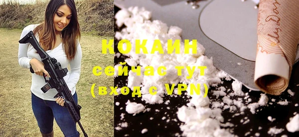 МДПВ Нефтегорск