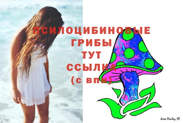 МДПВ Нефтегорск