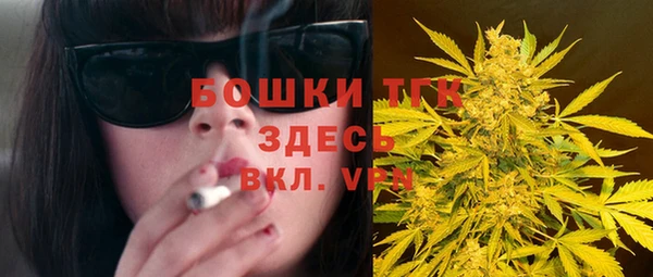 спайс Нея